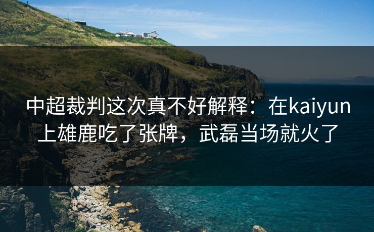 中超裁判这次真不好解释：在kaiyun上雄鹿吃了张牌，武磊当场就火了