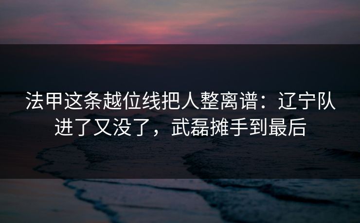 法甲这条越位线把人整离谱：辽宁队进了又没了，武磊摊手到最后