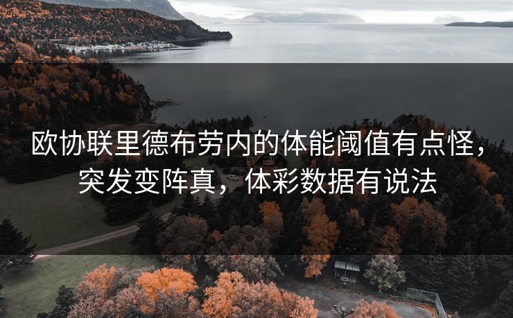 欧协联里德布劳内的体能阈值有点怪，突发变阵真，体彩数据有说法